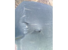 Recambio de puntera paragolpes trasera derecha para volkswagen crafter 30 2.5tdi 109 corto referencia OEM IAM    2