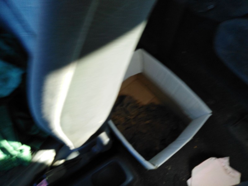 citroen berlingo / berlingo first monospace (mf_, gjk_, gfk_) del año 1998