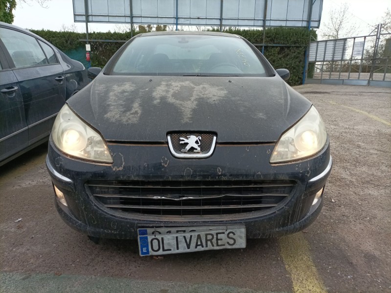 peugeot 407 (6d_) del año 2004