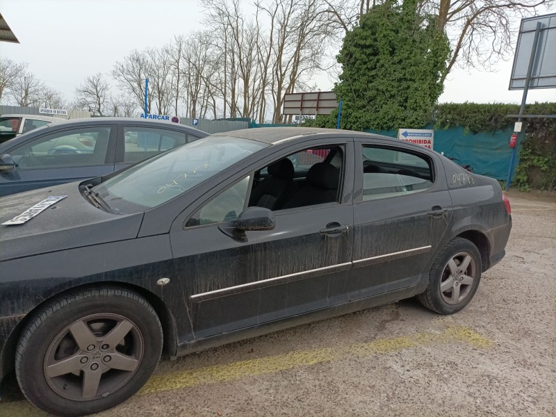 peugeot 407 (6d_) del año 2004