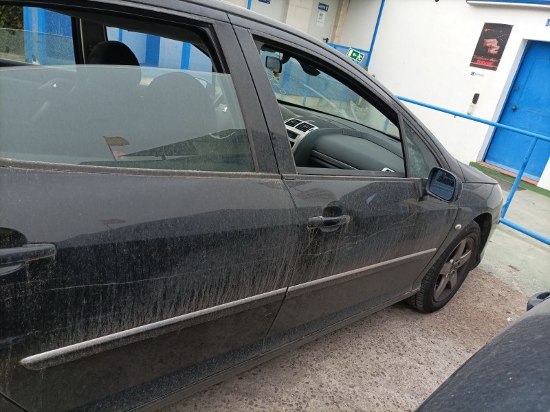 peugeot 407 (6d_) del año 2004