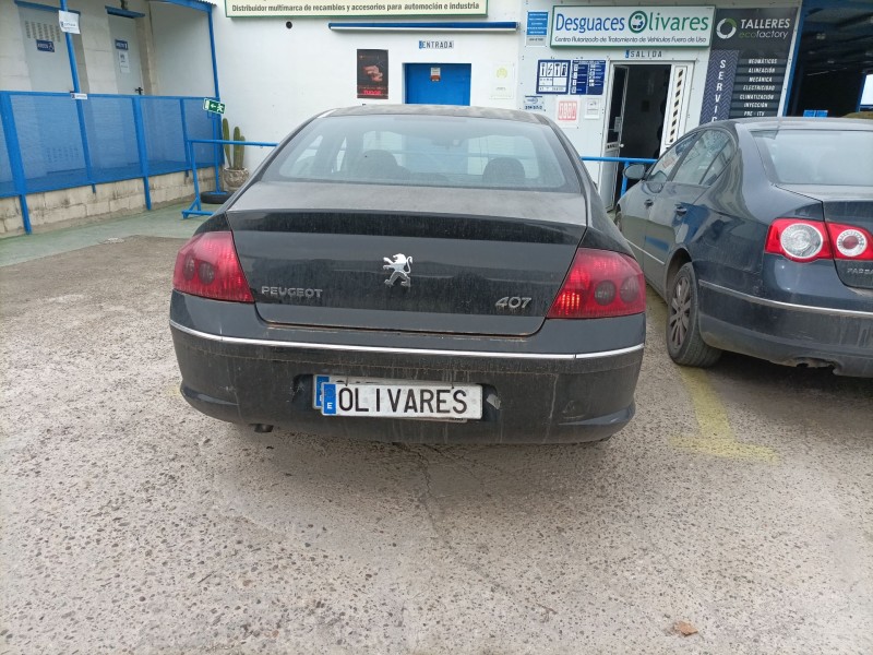 peugeot 407 (6d_) del año 2004
