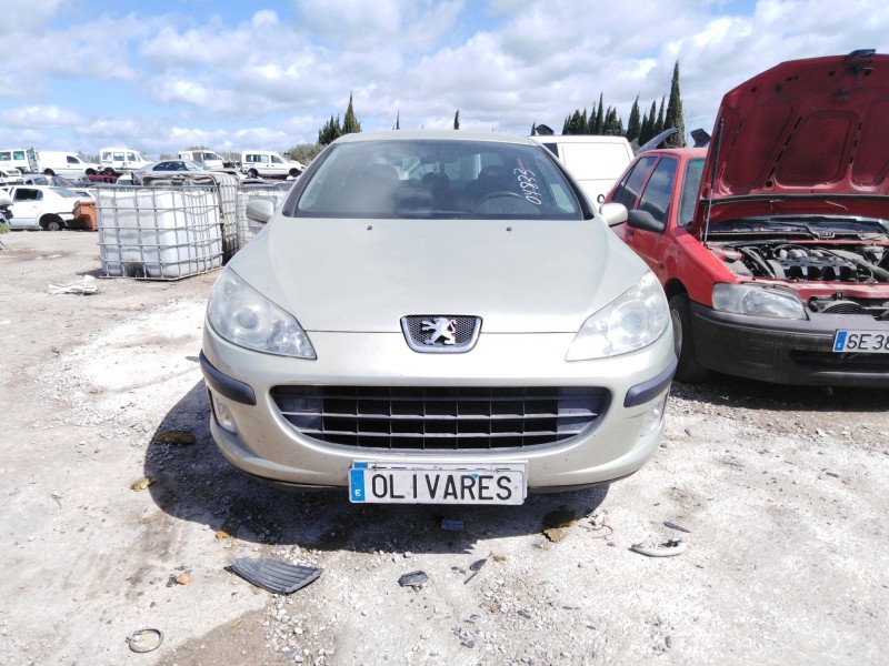 peugeot 407 (6d_) del año 2004