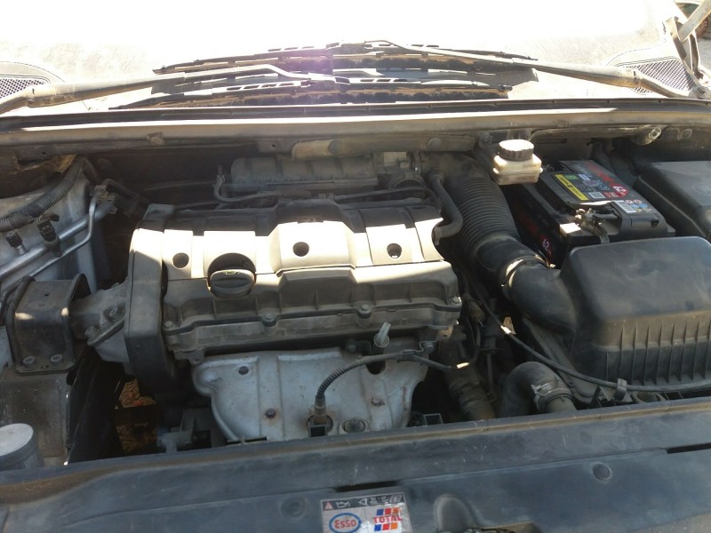 peugeot  del año  peugeot  del año