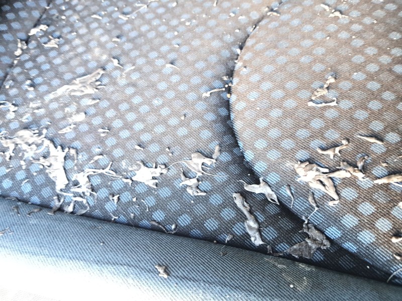 Recambio de asientos traseros para fiat scudo (270_, 272_) 2007-2016 referencia OEM IAM   