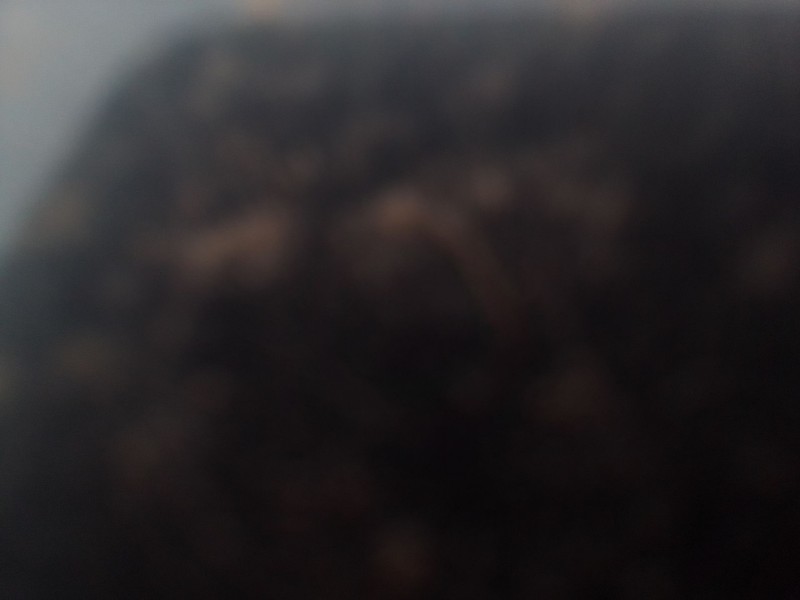 volkswagen passat berlina (3b3) del año 2000