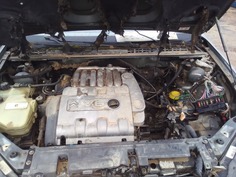 citroen c5 berlina del año 2001