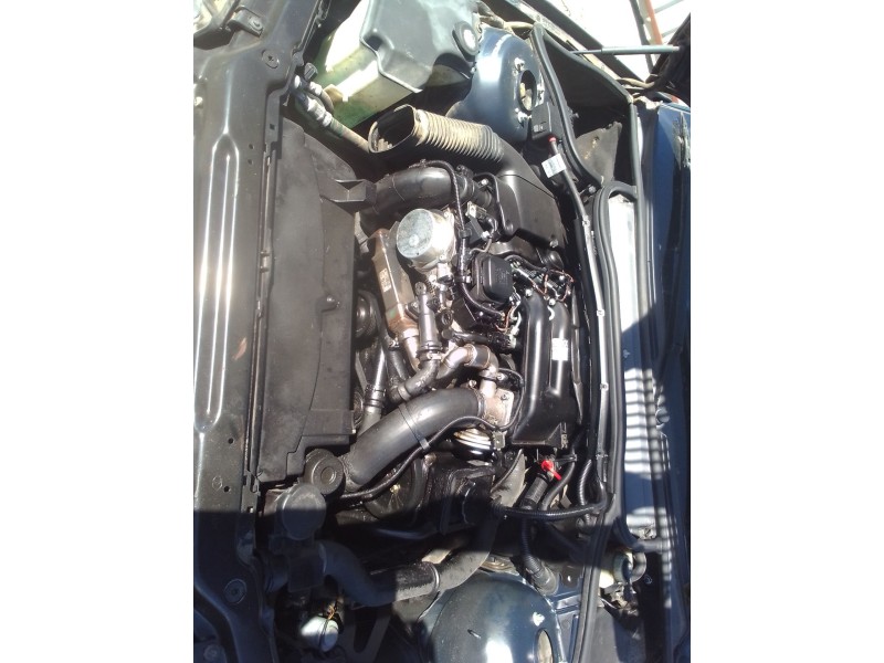 bmw serie 3 berlina (e46) del año 2004