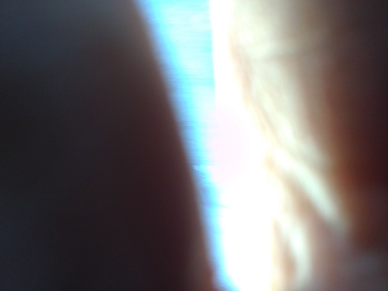 peugeot 406 break (s1/s2) del año 1999