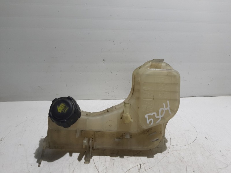 Recambio de deposito expansion para renault laguna iii referencia OEM IAM 217100014R  