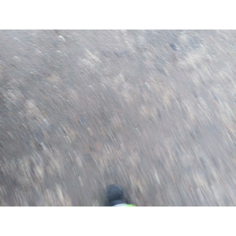 citroen c3 del año 2004