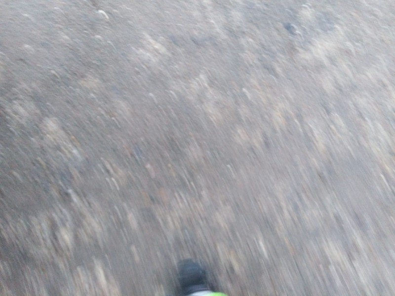 citroen c3 del año 2004