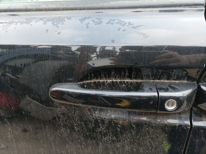 Recambio de maneta exterior delantera izquierda para kia carnival referencia OEM IAM   