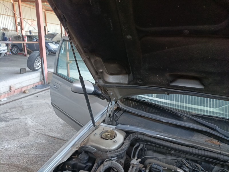 Recambio de amortiguadores capo para peugeot 406 berlina (s1/s2) referencia OEM IAM 0  