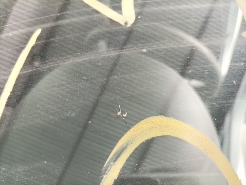 Recambio de parabrisas para peugeot 308 sw i (4e_, 4h_) 1.6 hdi referencia OEM IAM   