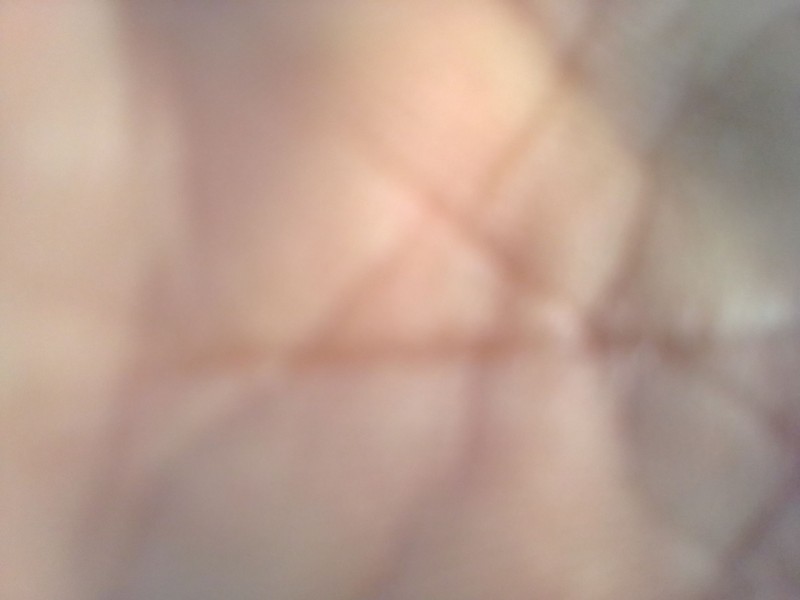 volkswagen golf iii (1h1) del año 1996