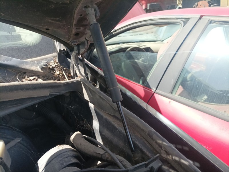 Recambio de amortiguadores capo para bmw x5 (e53) 3.0 d referencia OEM IAM   