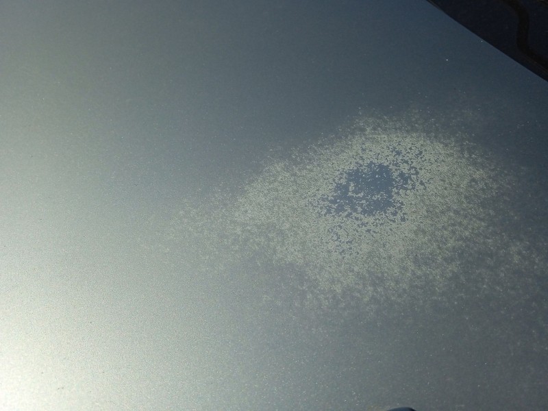 Recambio de capot para peugeot 307 break (3e) 2.0 hdi 90 referencia OEM IAM   