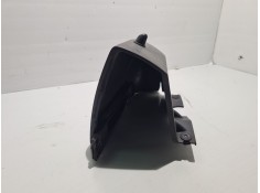 Recambio de moldura piloto matricula para nissan primastar autobús (x83) dci 100 referencia OEM IAM    2