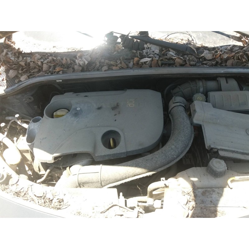 renault clio iii    |   0.05 - ... | 2005 del año 2005