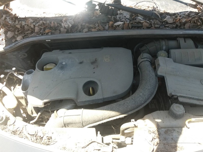 renault clio iii    |   0.05 - ... | 2005 del año 2005