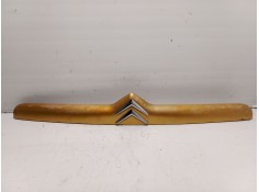 Recambio de moldura piloto matricula para citroën xsara (n1) 2.0 hdi 90 referencia OEM IAM   