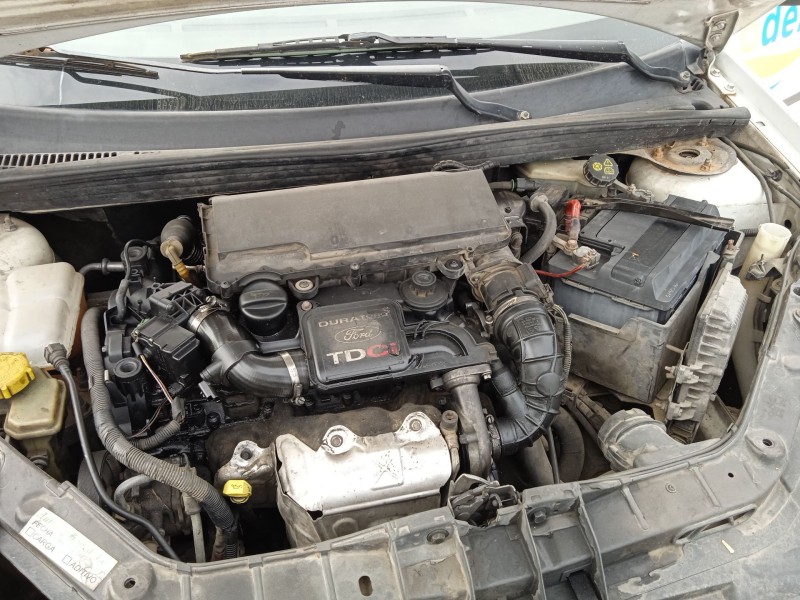 ford fiesta v (jh_, jd_) del año 2001