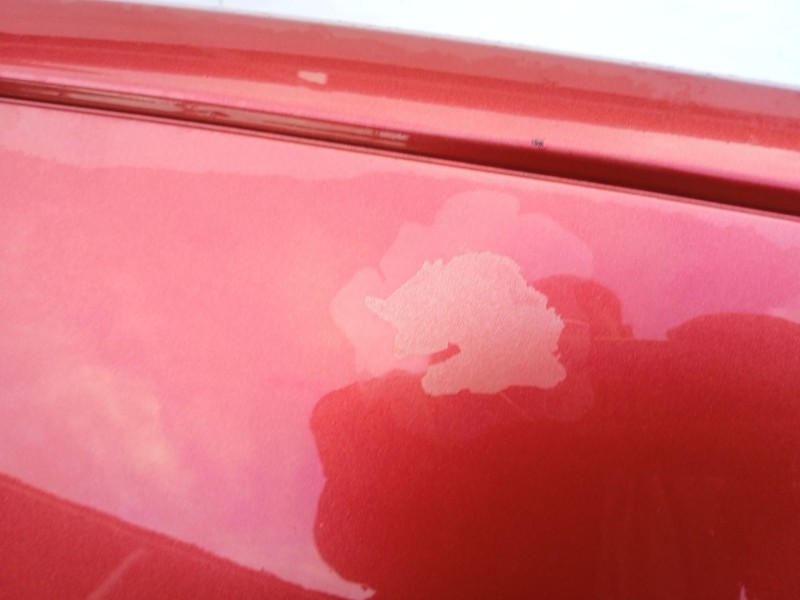 Recambio de paragolpes trasero para audi a3 (8p1) 2.0 tdi 16v referencia OEM IAM 8P3807303  