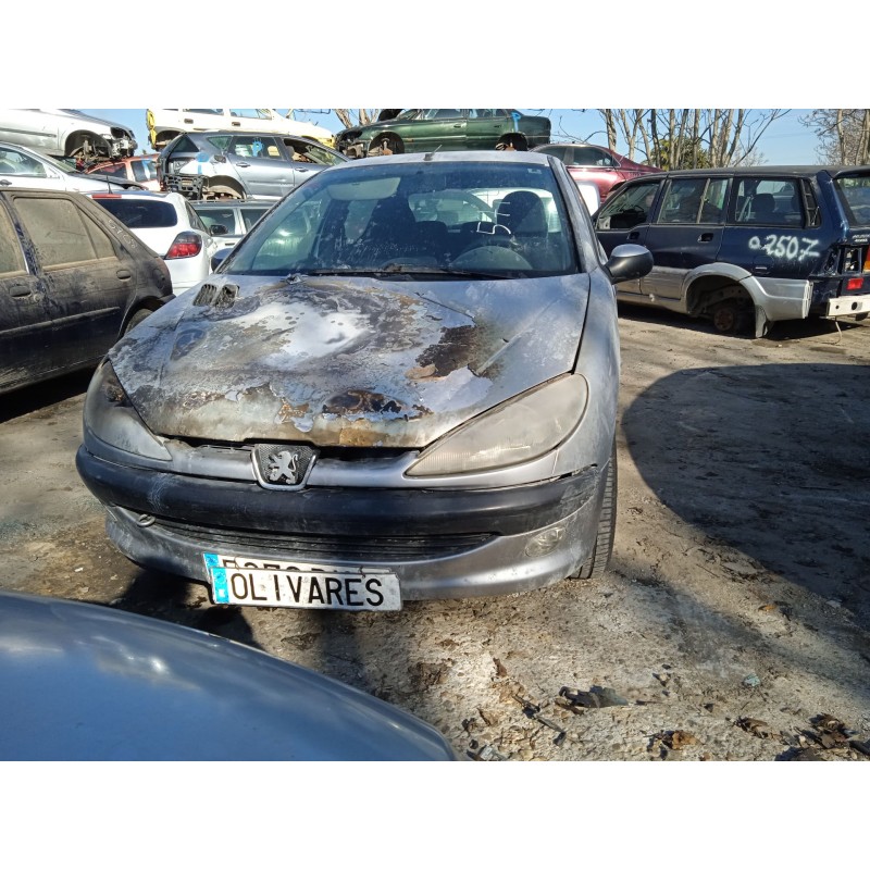 peugeot 206 fastback (2a/c) del año 2001