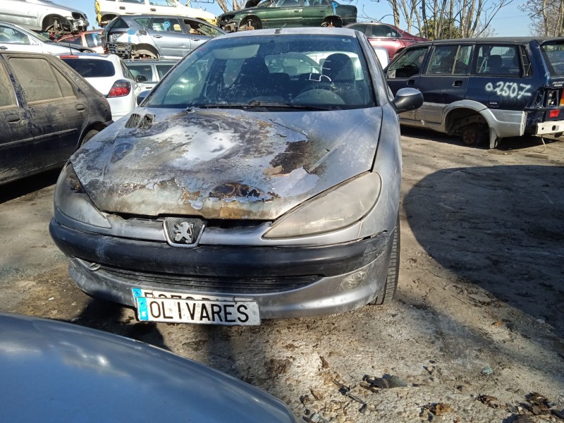 peugeot 206 fastback (2a/c) del año 2001