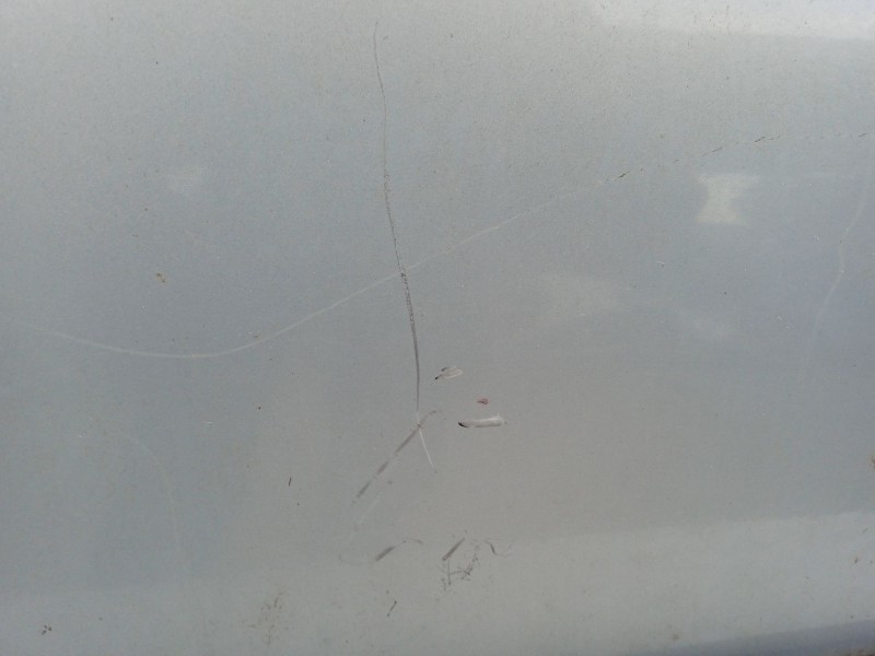 Recambio de puerta trasera derecha para renault scenic 1.9 dci diesel cat referencia OEM IAM 7751472408  