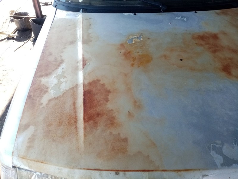 Recambio de capot para peugeot 309 ii (3c, 3a) 1.4 referencia OEM IAM 7901C7  