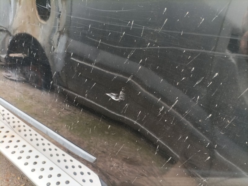 Recambio de puerta trasera izquierda para bmw x5 (e70) 3.0 d referencia OEM IAM   