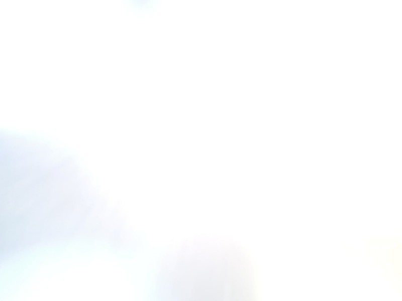 opel vectra c (z02) del año 2004