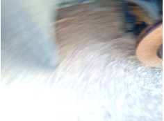 Recambio de brazo suspension inferior delantero derecho para fiat stilo (192_) 1.4 16v (192axh1b, 192bxh1b) referencia OEM IAM 5 2