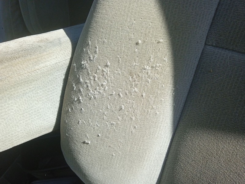 Recambio de asiento delantero izquierdo para kia carnival ii (gq) 2.9 crdi referencia OEM IAM 883104D121  