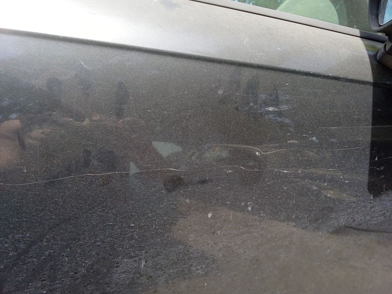 Recambio de puerta delantera derecha para seat exeo st (3r5) 2.0 tdi referencia OEM IAM 3R0831052  