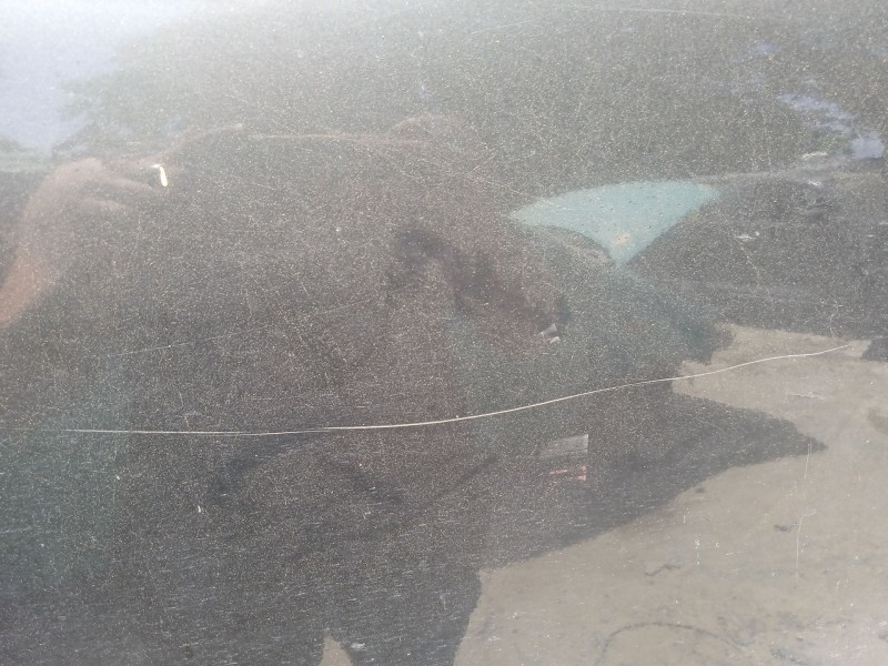 Recambio de puerta trasera derecha para seat exeo st (3r5) 2.0 tdi referencia OEM IAM 3R0833052  