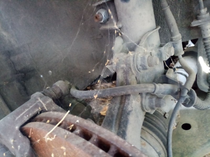 Recambio de mangueta delantera derecha para kia cee´d referencia OEM IAM   