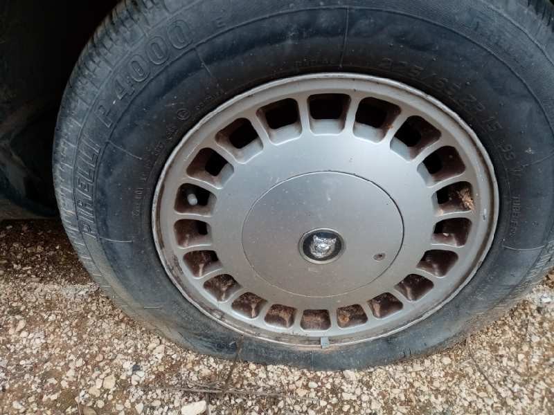 jaguar xj6/12 3.6 xj6   |   11.86 - ... | 1986 | 212 cv / 156 kw del año 1986