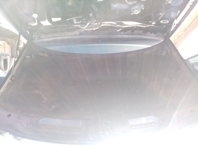 Recambio de capot para audi a3 (8l1) 1.9 tdi referencia OEM IAM 8L0823029C  