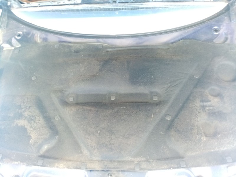 Recambio de capot para audi a3 (8l1) 1.9 tdi referencia OEM IAM 8L0823029C  