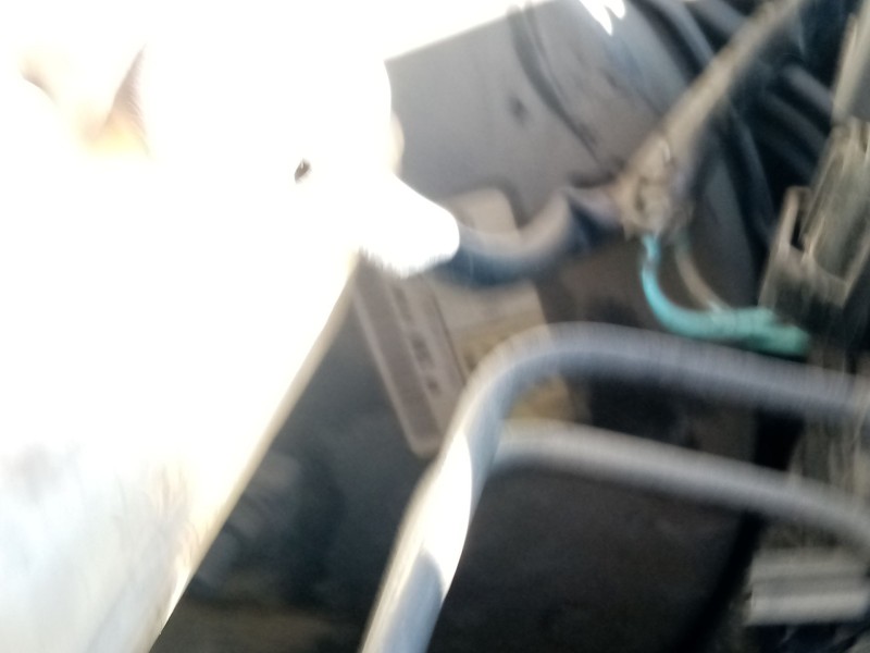 Recambio de servofreno para peugeot 406 coupé (8c) 2.0 16v referencia OEM IAM 4535J5  