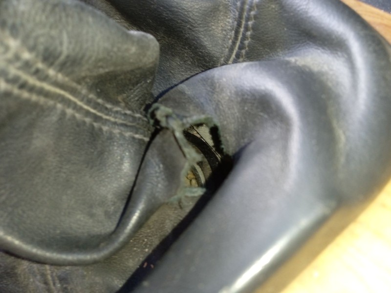 Recambio de guarnecidos palanca cambio para skoda superb i (3u4) 2.0 tdi referencia OEM IAM 3U0711113  