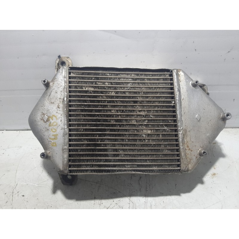 Recambio de intercooler para nissan terrano/terrano.ii (r20) 2.7 turbodiesel referencia OEM IAM 144617F401  