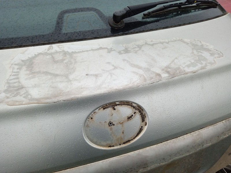 Recambio de porton trasero para toyota avensis (_t25_) 1.8 (zzt251_) referencia OEM IAM   