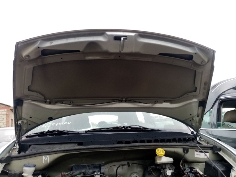 Recambio de capot para citroën c3 i (fc_, fn_) 1.1 i referencia OEM IAM 7901K6  