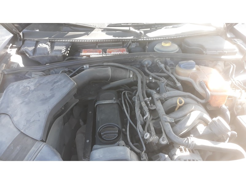 volkswagen passat berlina (3b2) básico   |   09.96 - ... | 1996 | 101 cv / 74 kw del año 1996