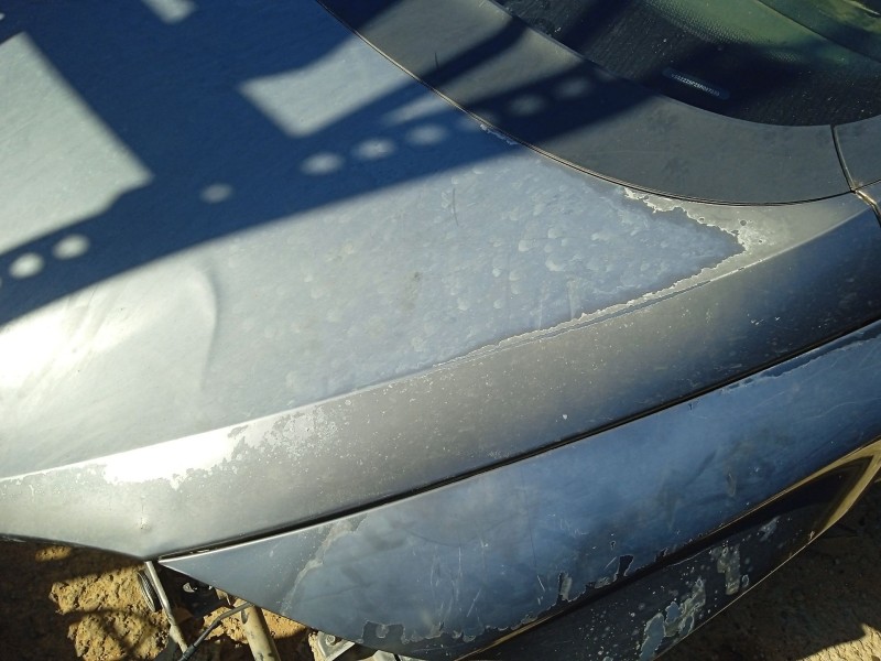 Recambio de capot para seat toledo iii (5p2) 1.9 tdi referencia OEM IAM 5P0823031C  