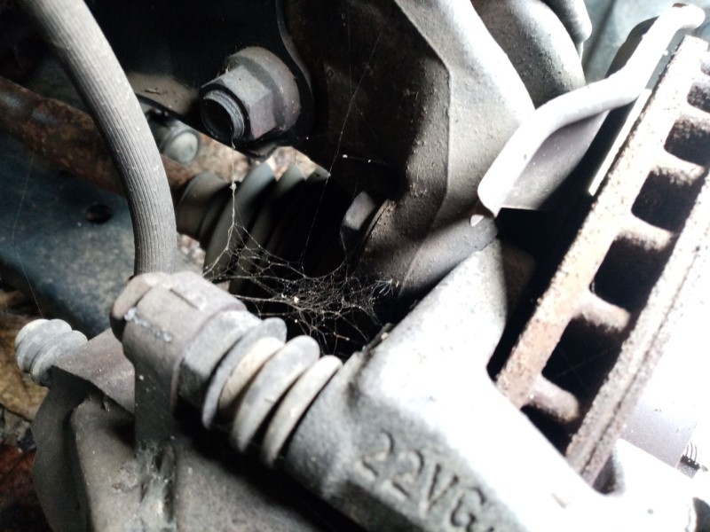 Recambio de mangueta delantera izquierda para toyota prius (nhw20) 1.5 cat referencia OEM IAM 4320247010  